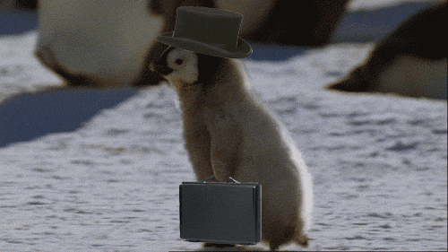 68571b7898017-1750539128.gif