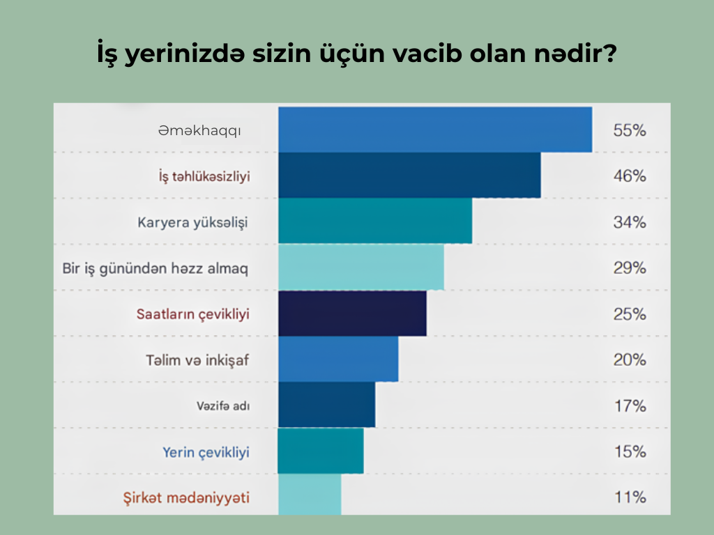 karyera planlamasi nedir